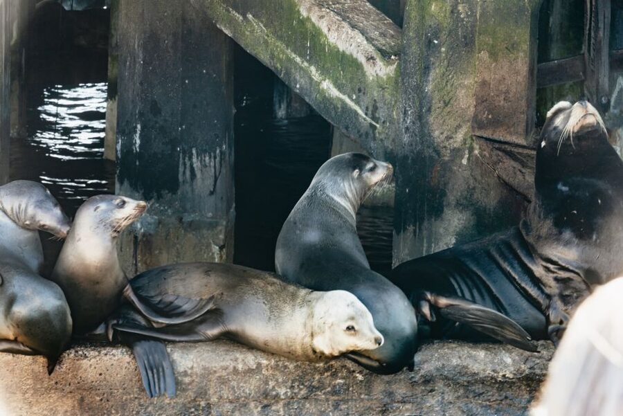 Monterey Bay: Whale Watching Tour - Boat comfort, weather, and seasickness