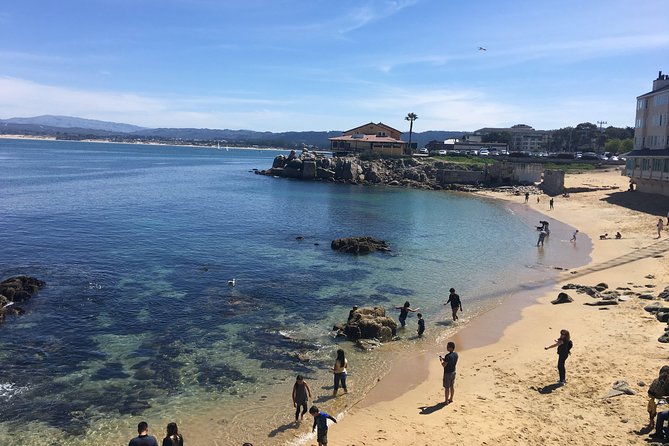 Monterey, Carmel and 17-Mile Drive: Full Day Tour from SF - Why this day trip works from San Francisco