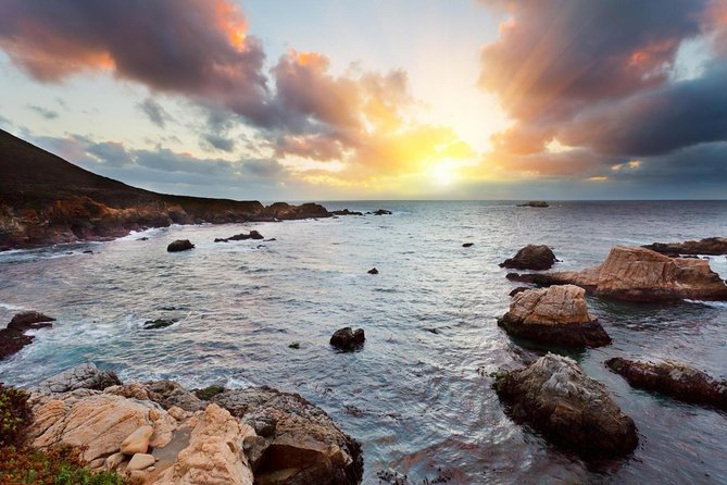 Monterey, Carmel and 17-Mile Drive: Full Day Tour from SF - Two hours in Monterey, with the aquarium as the big choice