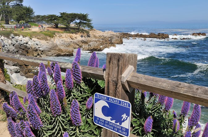 Monterey, Carmel and 17-Mile Drive: Full Day Tour from SF - 17-Mile Drive delivers the day’s signature scenery