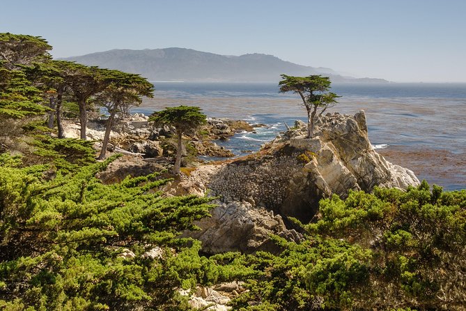Monterey, Carmel and 17-Mile Drive: Full Day Tour from SF - The Lone Cypress is built for a quick photograph