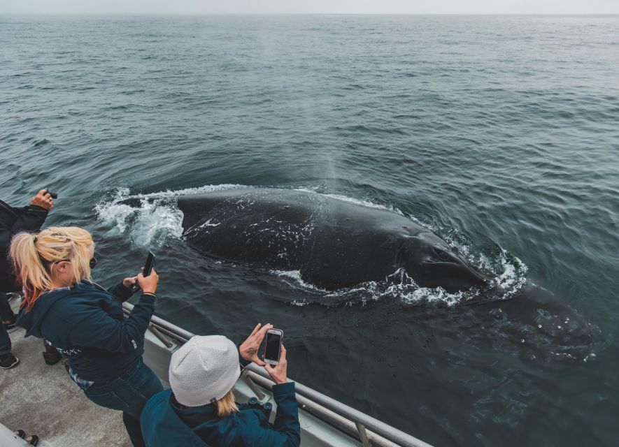 Monterey: Sunset Whale Watching Cruise with A Guide - The first run across the bay