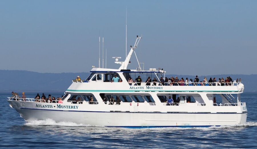 Monterey: Whale Watching Tour with A Marine Guide - Watching from the cabins and outdoor decks