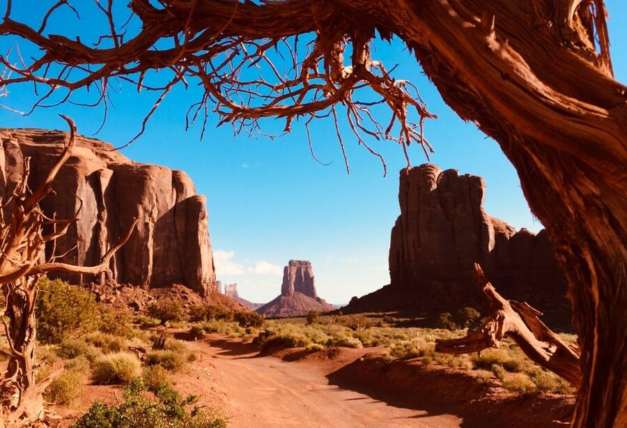 Monument Valley: Highlights Tour with Backcountry Access - Vehicle comfort, weather, and group size