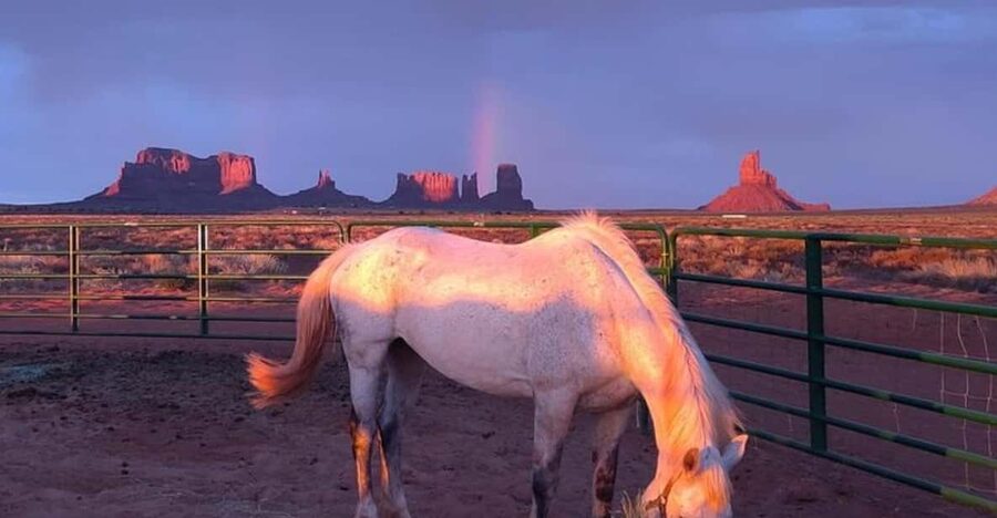 Monument Valley: Horseback Adventure Tour - What the pace feels like for new and experienced riders