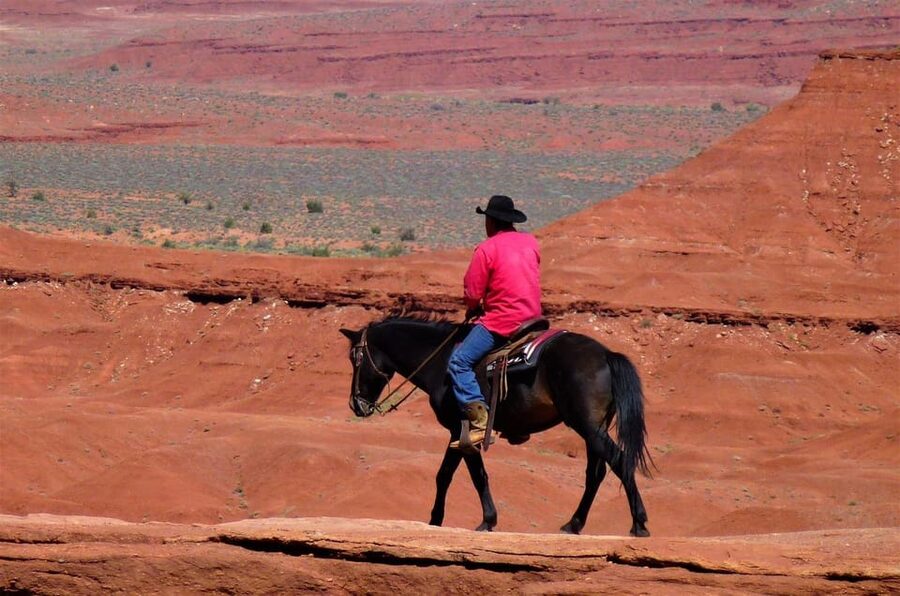 Monument Valley: Horseback Adventure Tour - Practical tips for a smoother ride