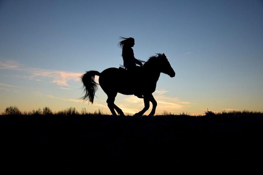 Monument Valley: Horseback Adventure Tour - Should you book the Monument Valley Horseback Adventure?