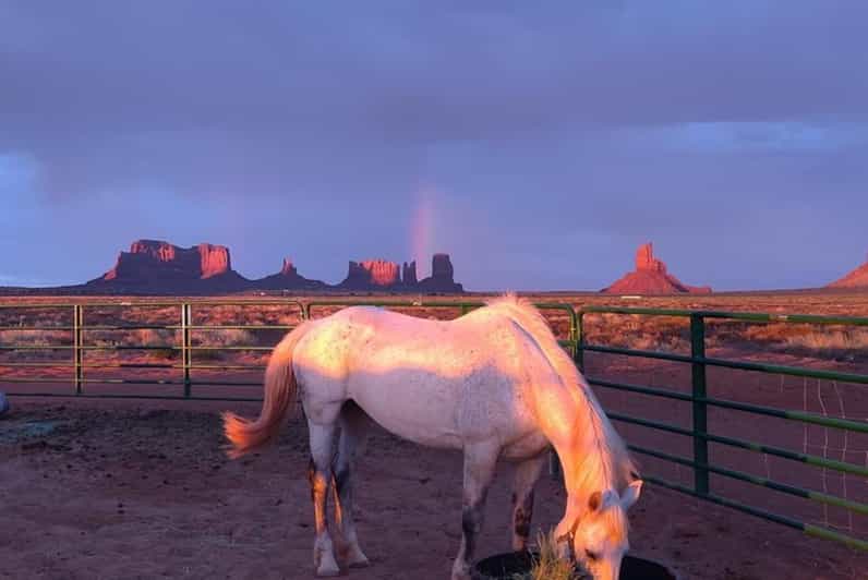 Monument Valley: Horseback Adventure Tour - Riding into Eagle Mesa and the Two Mittens