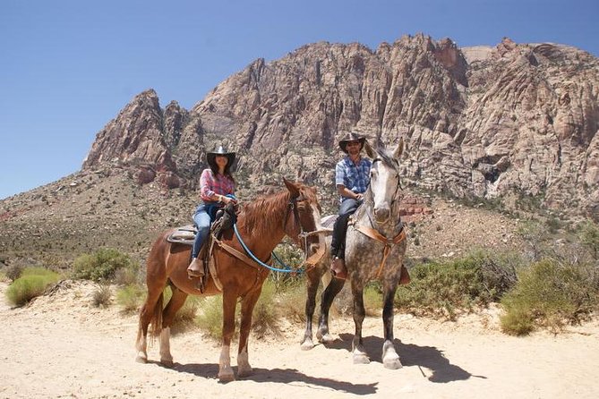 Morning Horseback Ride with Breakfast from Las Vegas - What the 90-minute desert ride is really like