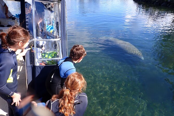 Most Popular 3hr Manatee Swim Tour + In-Water Guide! - The boat, ladder, and physical demands