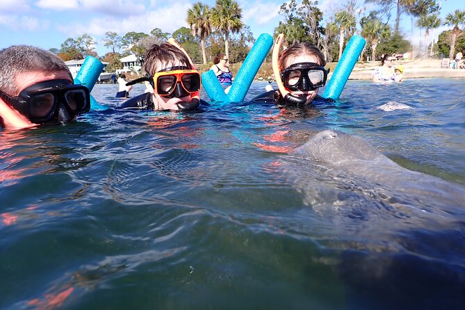 Most Popular 3hr Manatee Swim Tour + In-Water Guide! - Photos, cold weather, and what to pack