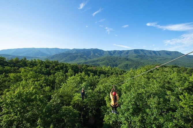 Mountaintop Zipline 2-Hours Activity - Four sky bridges add a different kind of nerve