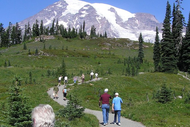 Mt. Rainier Day Tour from Seattle - Henry M. Jackson Visitor Center and the Paradise area