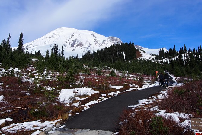 Mt. Rainier Day Tour from Seattle - What the guides add