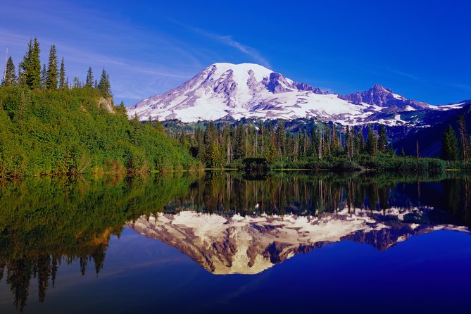Mt. Rainier Day Tour from Seattle - Food, clothing, and walking
