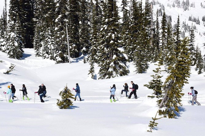Mt. Rainier National Park Highlights Tour - A long but rewarding day from Seattle