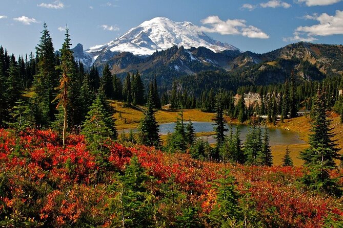 Mt. Rainier National Park Highlights Tour - Christine Falls and Narada Falls bring the big photo moments