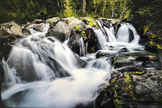 Mt. Rainier National Park Highlights Tour - Paradise sits high above the valley