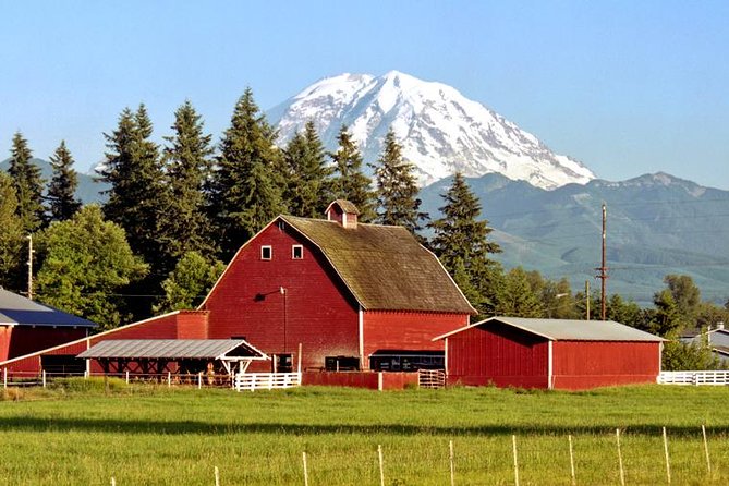 Mt. Rainier National Park Highlights Tour - Winter brings snow, beauty, and more risk