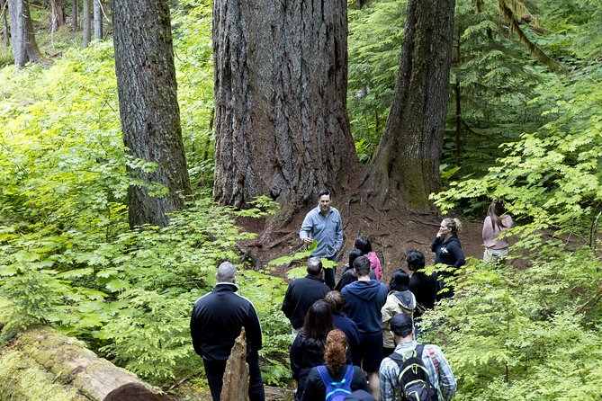 Mt. Rainier National Park Highlights Tour - What the $150 price really buys