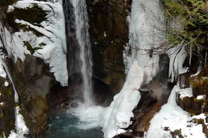 Mt. Rainier National Park Highlights Tour - Longmire begins with park history and forest