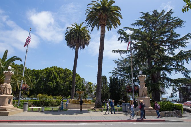 Muir Woods and Sausalito (Return by Bus or Ferry) - Why this half-day trip works well from San Francisco