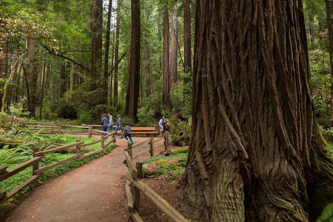 Muir Woods and Sausalito (Return by Bus or Ferry) - Crossing the Golden Gate Bridge and stopping at North Vista Point