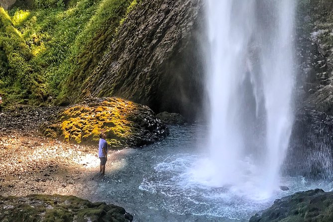 Multnomah Falls and Columbia River Gorge Half-Day Hiking Tour - What the guide adds to the experience