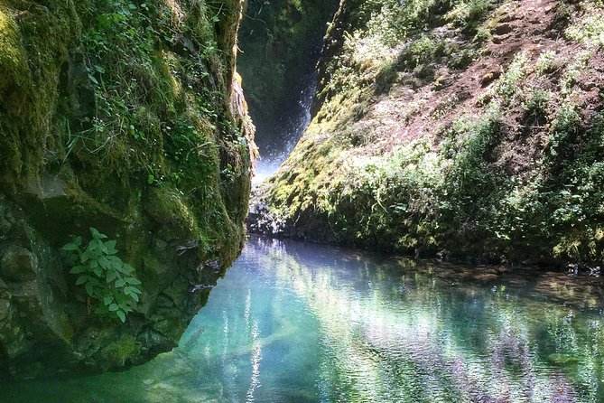 Multnomah Falls and Columbia River Gorge Half-Day Hiking Tour - Multnomah Falls and the Benson Bridge view