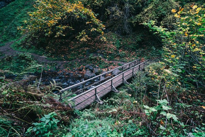 Multnomah Falls and Columbia River Gorge Waterfalls Tour Morning - How the timing affects your experience