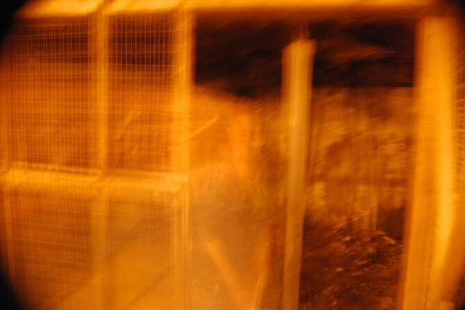 Murder & Mayhem Haunted History Walking Tour - Walking conditions and what to bring