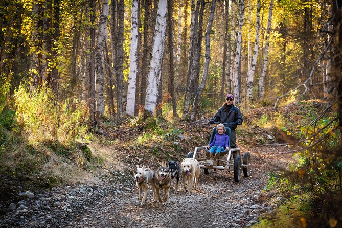 Mush Your Own Sled Dog Team (Summer/Fall Tour) - What You Will Learn About the Iditarod