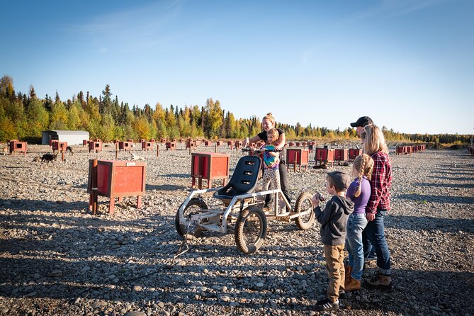 Mush Your Own Sled Dog Team (Summer/Fall Tour) - Who Will Enjoy This Most?