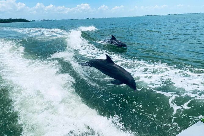 Myrtle Beach Dolphin Cruise - Quick points before you book