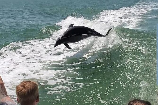 Myrtle Beach Dolphin Cruise - What happens if you do not see dolphins