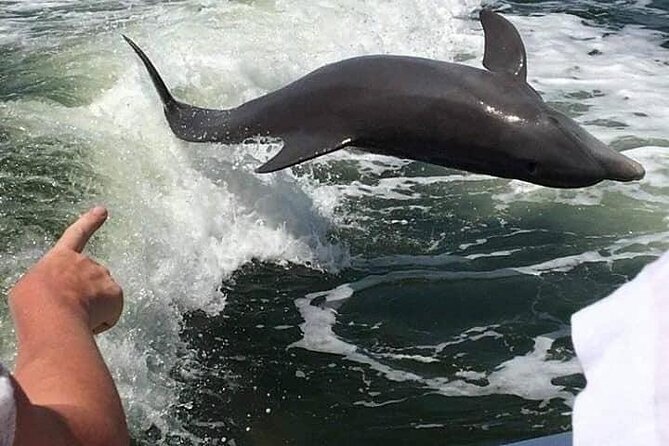 Myrtle Beach Dolphin Cruise - Watching for dolphins in the Intracoastal Waterway