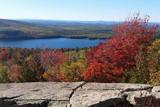 Narrated Bus Tour of Bar Harbor and Acadia National Park - What the bus ride adds
