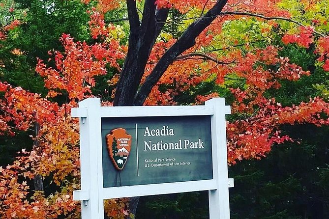 Narrated Bus Tour of Bar Harbor and Acadia National Park - Who will enjoy this most
