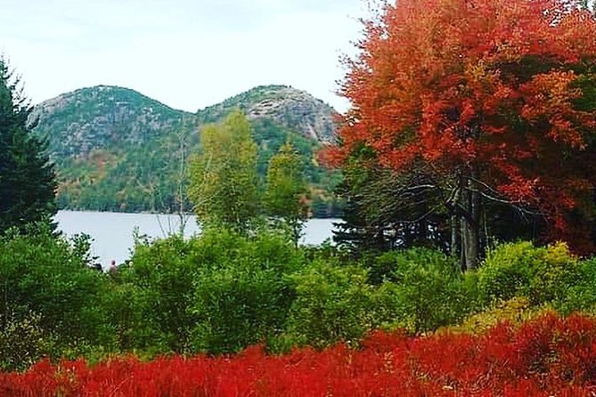 Narrated Bus Tour of Bar Harbor and Acadia National Park - Should you book the Acadia bus tour?