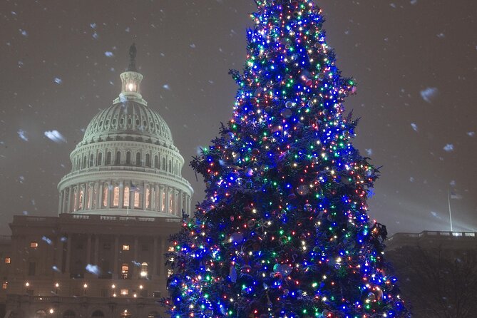 National Mall Monuments Night Tour with 10+ Stops, Entry Tickets - Lincoln Memorial and the Reflecting Pool