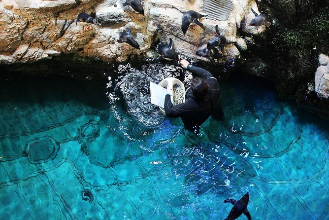 New England Aquarium Admission Ticket in Boston - Who will enjoy this aquarium most