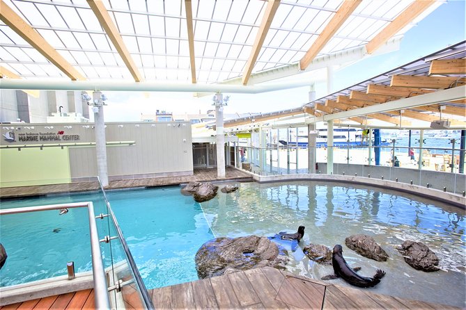 New England Aquarium Admission Ticket in Boston - Practical booking and cancellation advice