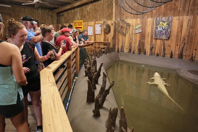 New Orleans Airboat Ride - What the ride feels like from your seat
