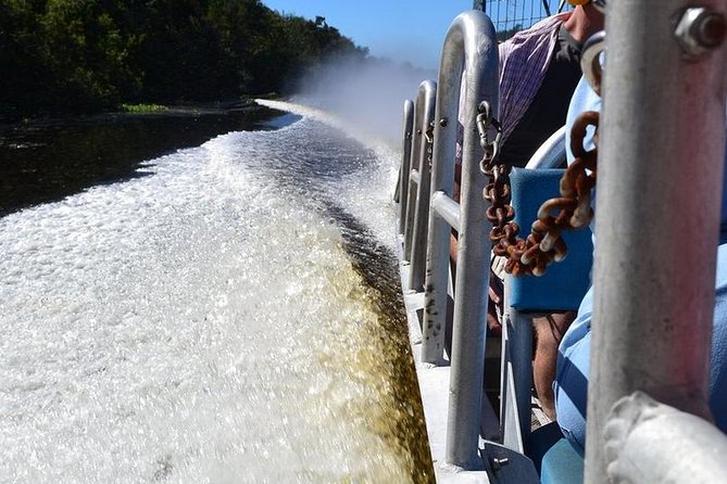 New Orleans Airboat Ride - Who should book this New Orleans airboat ride?
