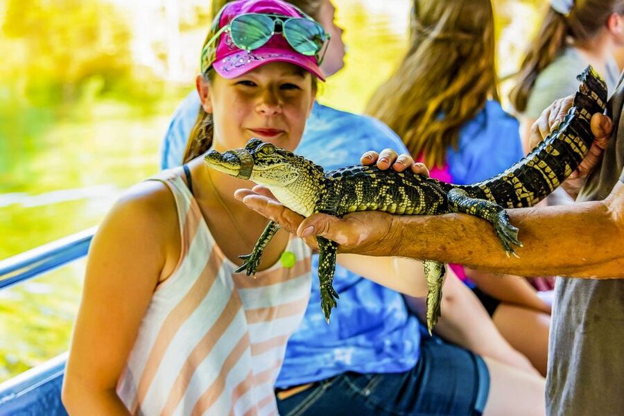 New Orleans: Bayou Swamp Tour and Oak Alley Plantation Tour - Pickup from New Orleans, with little room for delay