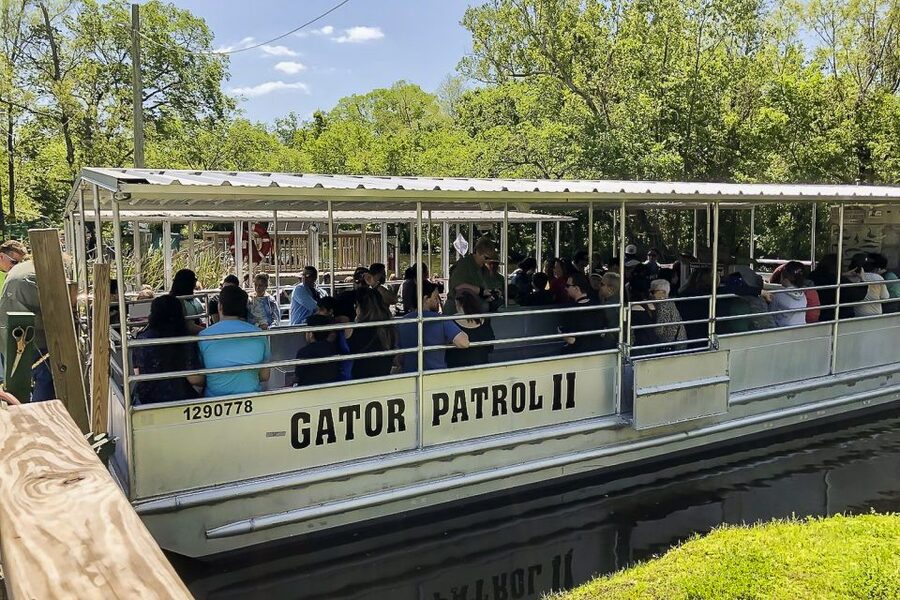 New Orleans: Bayou Swamp Tour and Oak Alley Plantation Tour - Is the $125 price fair?