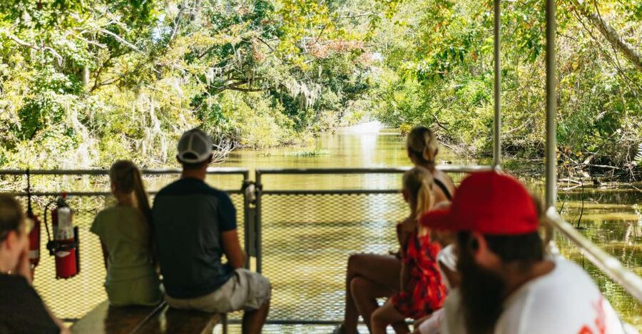 New Orleans: Bayou Tour in Jean Lafitte National Park - Should you book the Barataria bayou tour?