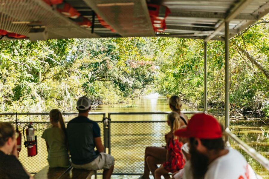 New Orleans: Bayou Tour in Jean Lafitte National Park - Stories, jokes, and Louisiana swamp lore