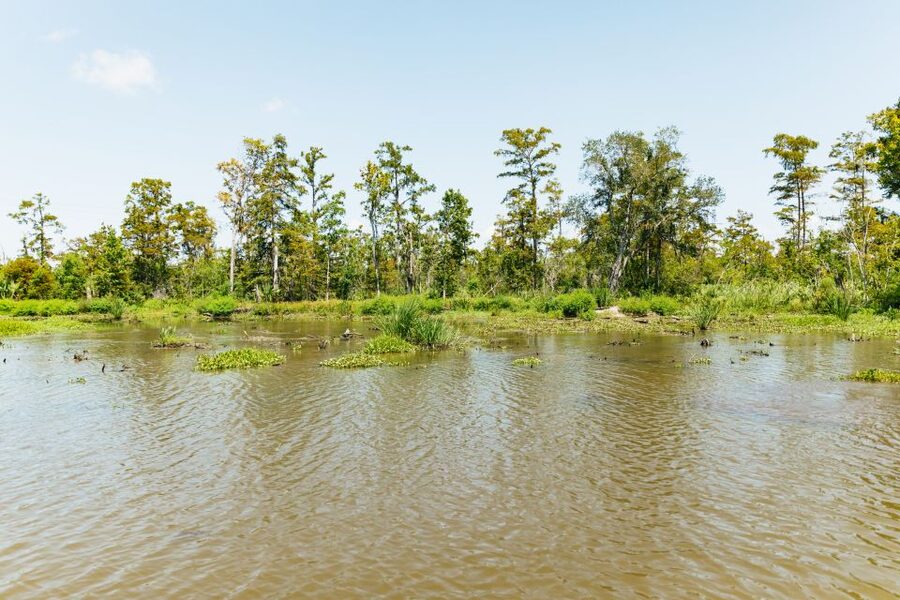 New Orleans: Bayou Tour in Jean Lafitte National Park - Who will enjoy this tour most