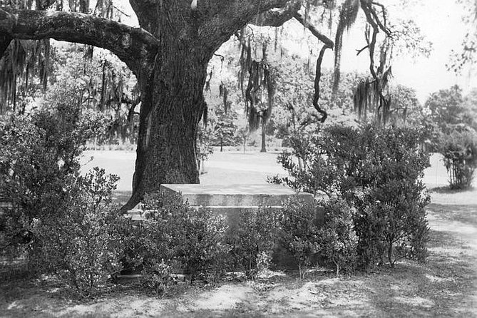 New Orleans Dead of Night Ghosts and Cemetery Bus Tour - The guide can shape the whole experience